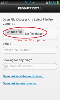 Click on file option webview